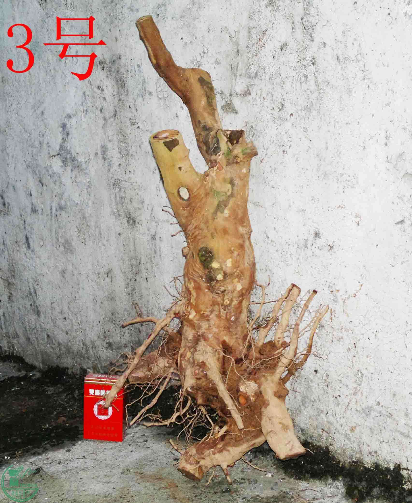 201101292302.jpg