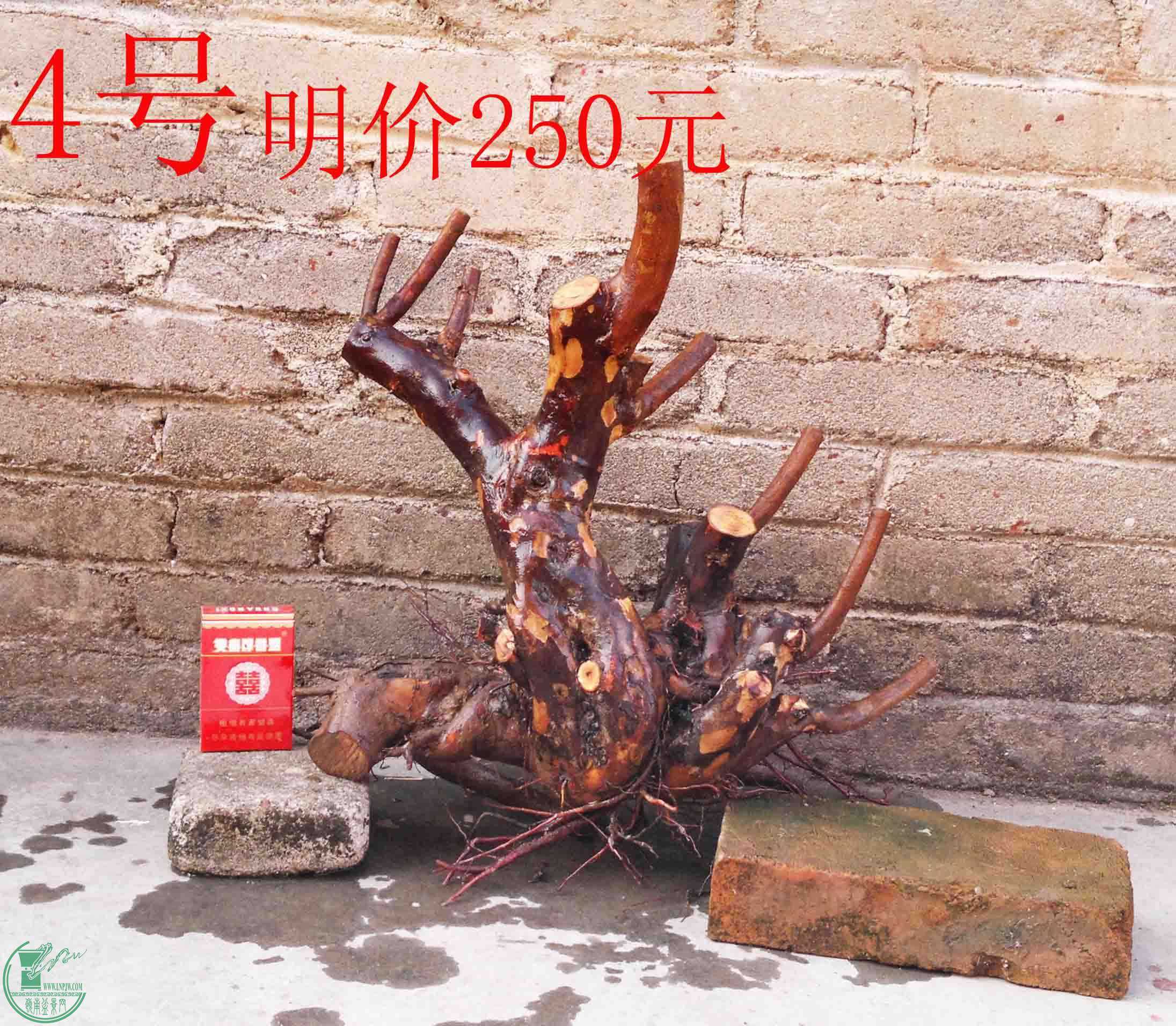 201101292308.jpg