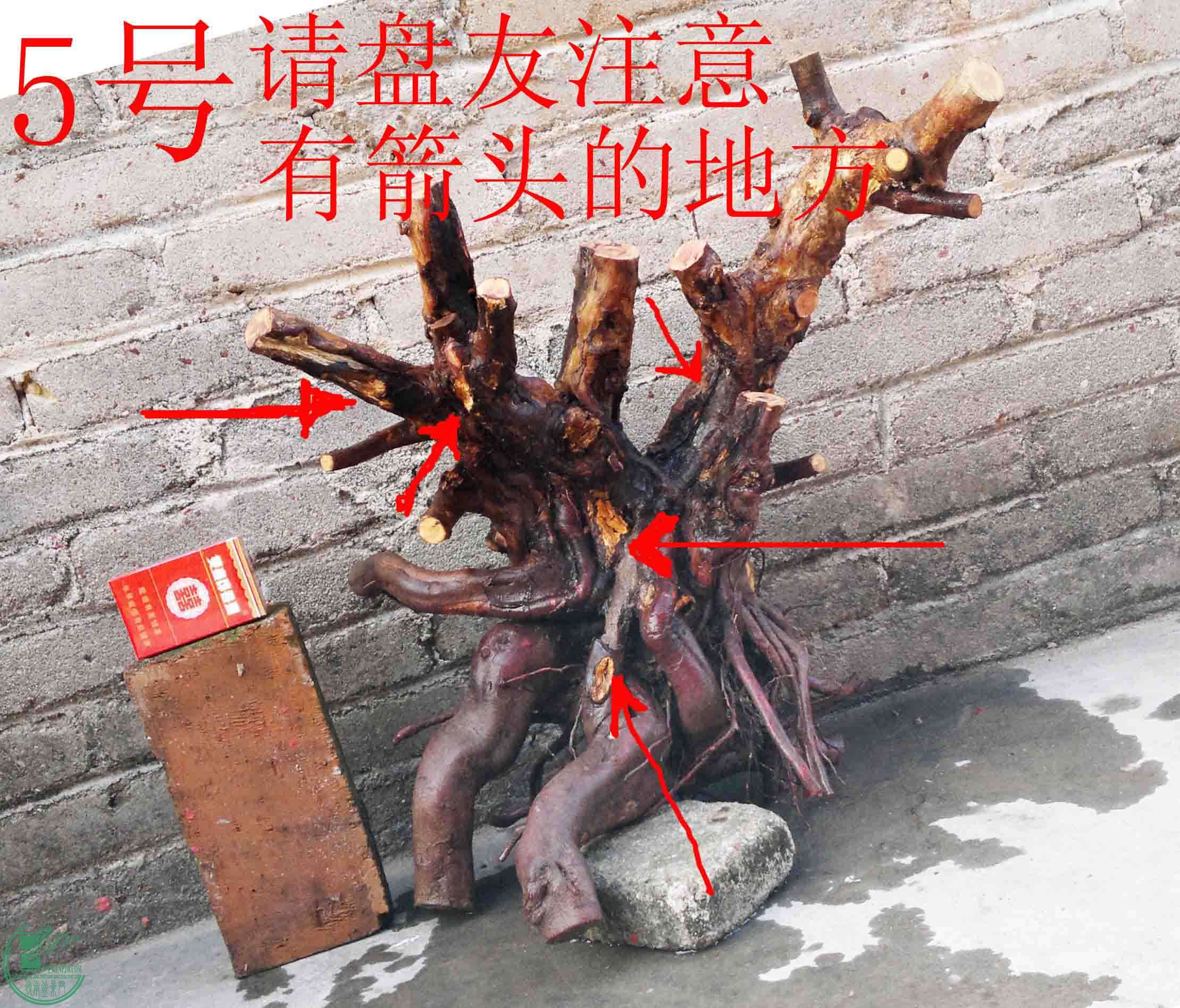 201101292333.jpg