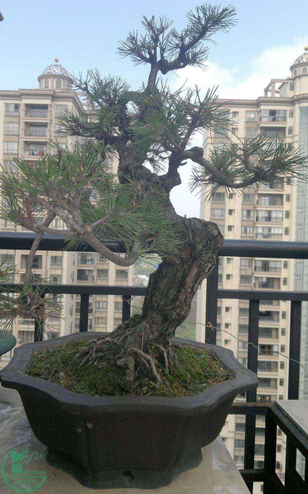 201502242368.jpg