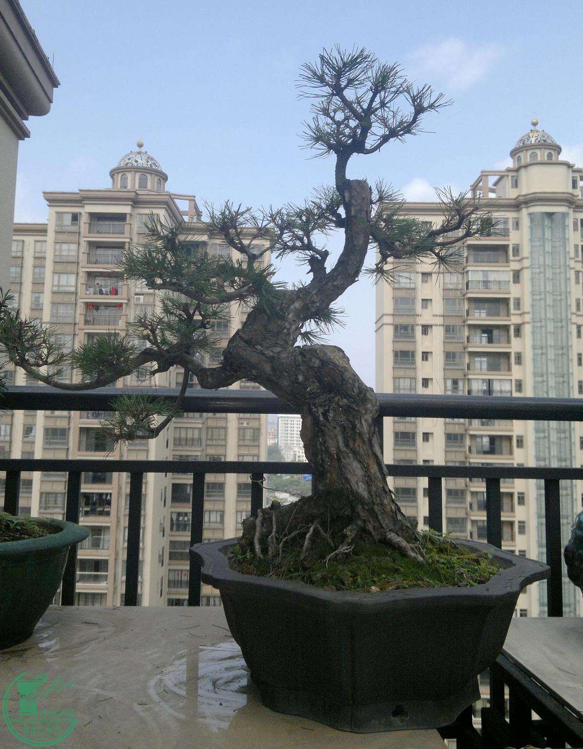 201502242369.jpg