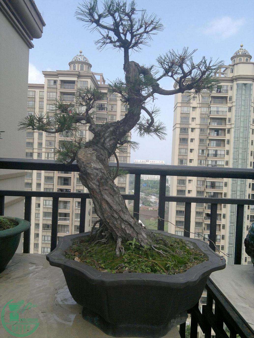 201502242370.jpg