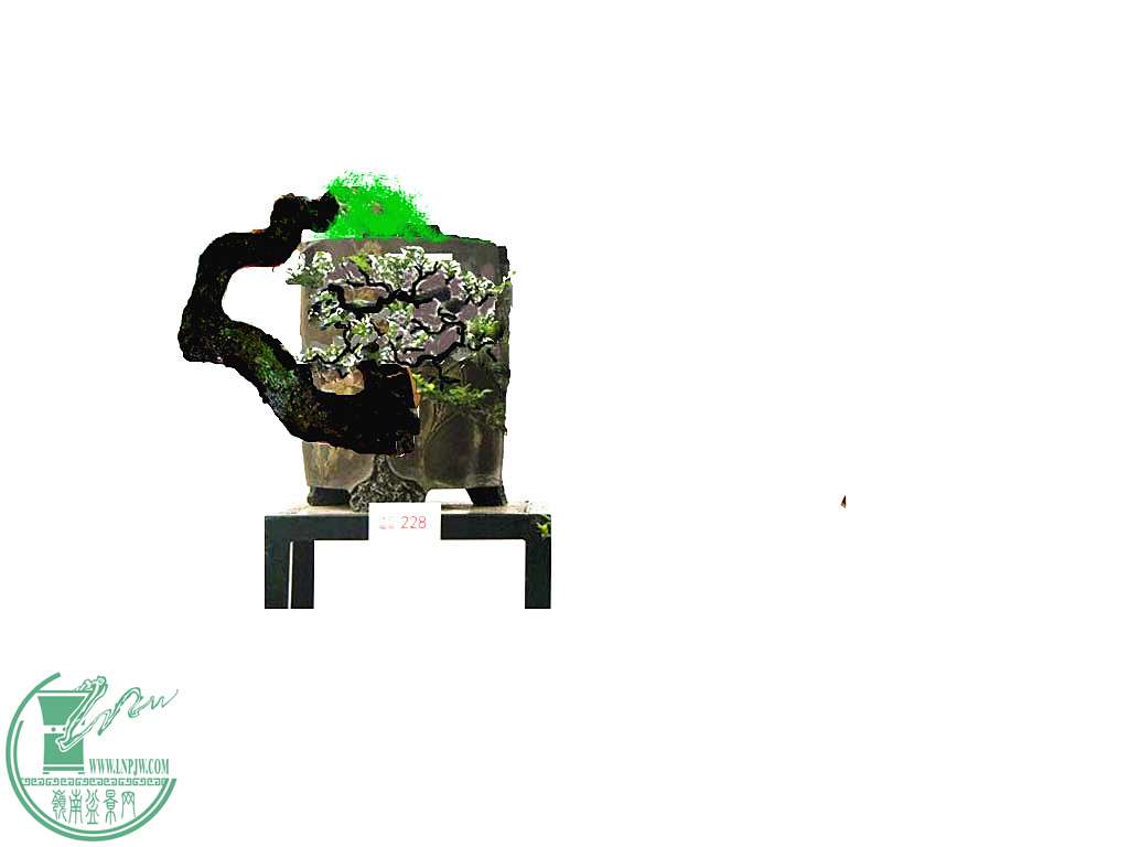 QQͼƬ20150104211111___.jpg