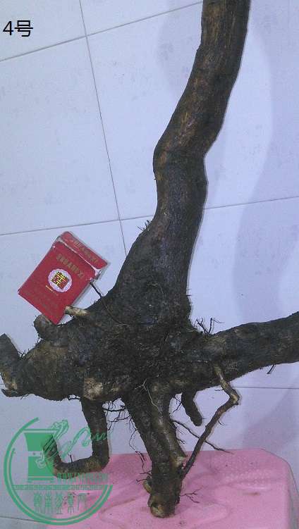 QQͼƬ20150225195231.jpg