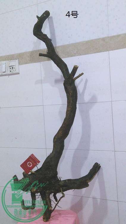 QQͼƬ20150225195226.jpg