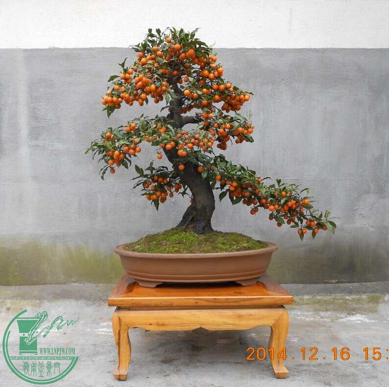 08赯׮1.jpg