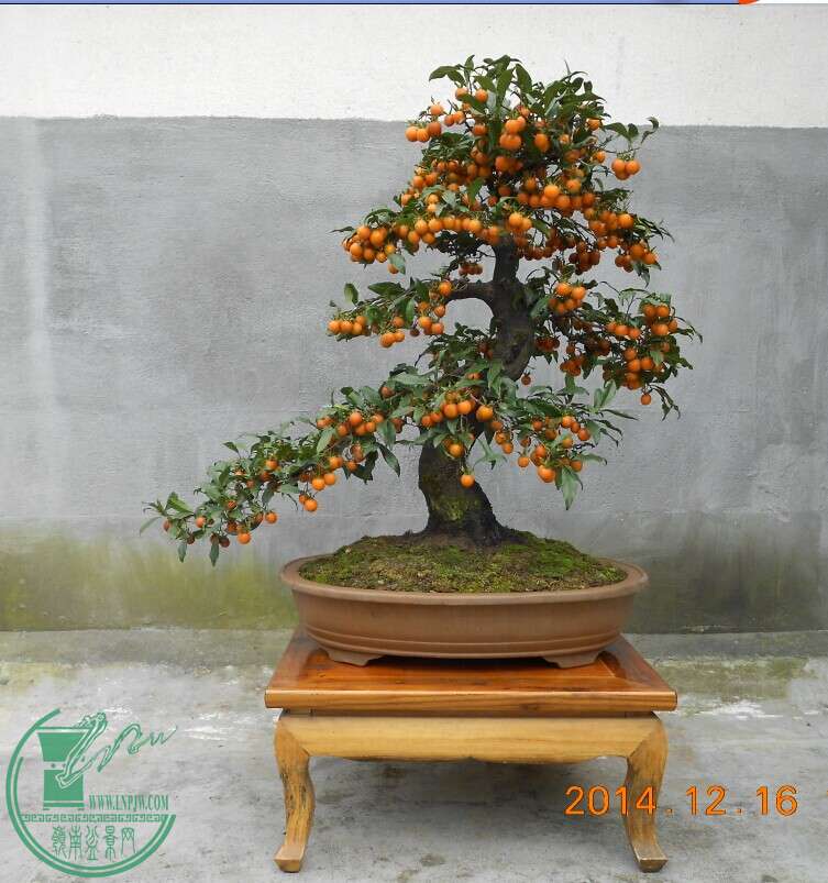 08赯׮4.jpg