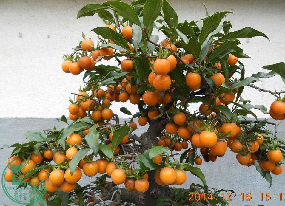 08赯׮5.jpg