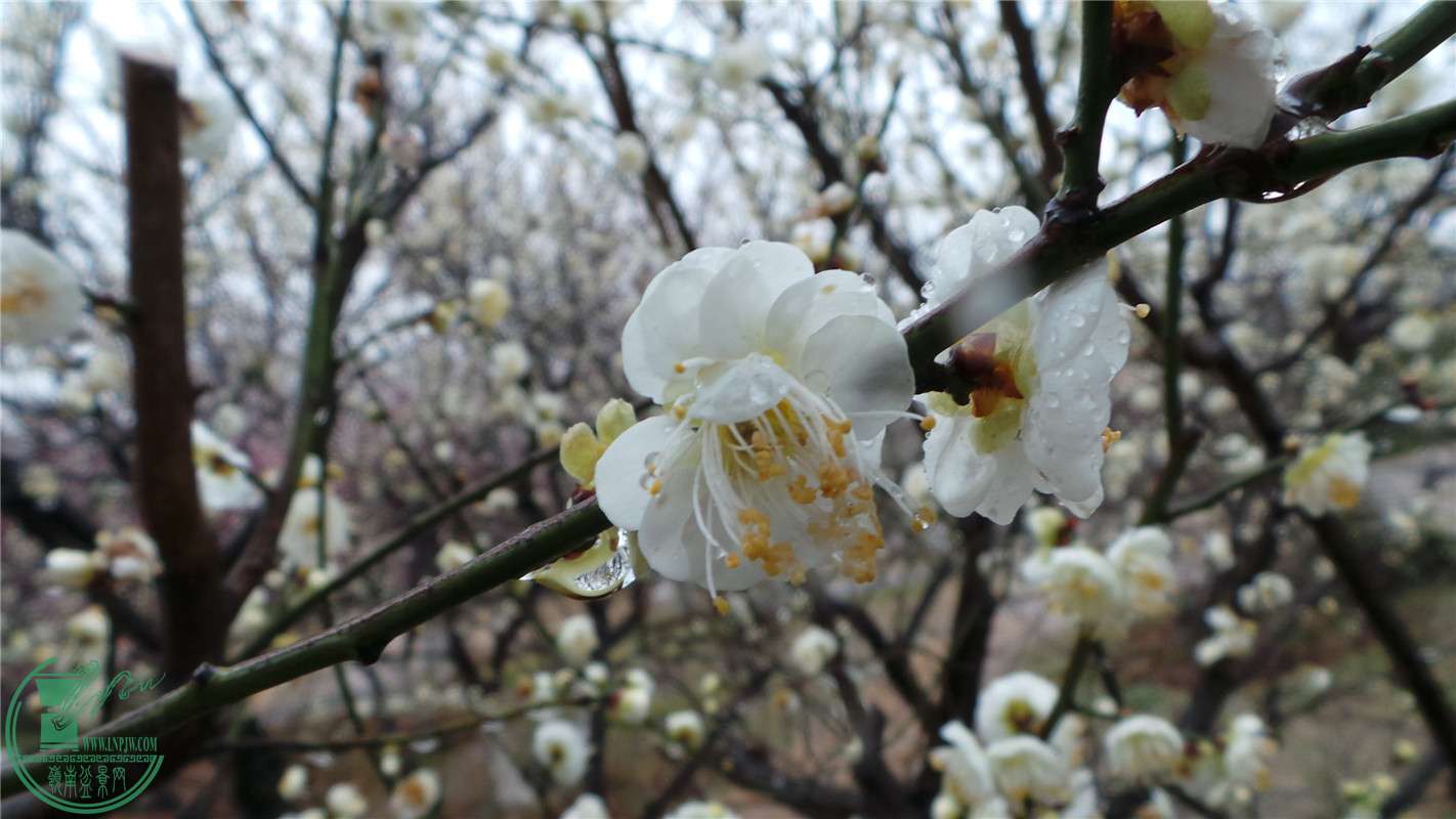 20150220_140846.jpg