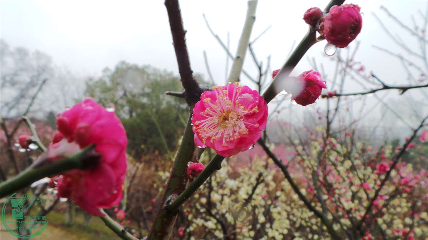 20150220_141320.jpg
