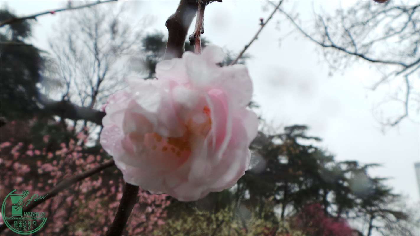 20150220_141453.jpg