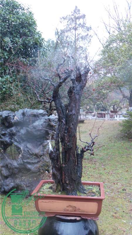 20150220_143141.jpg