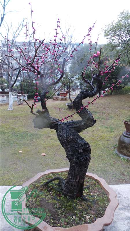 20150220_143325.jpg