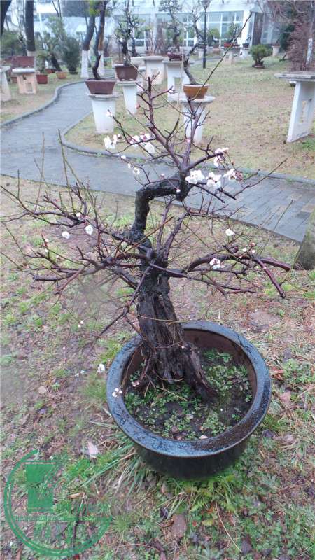 20150220_143729.jpg
