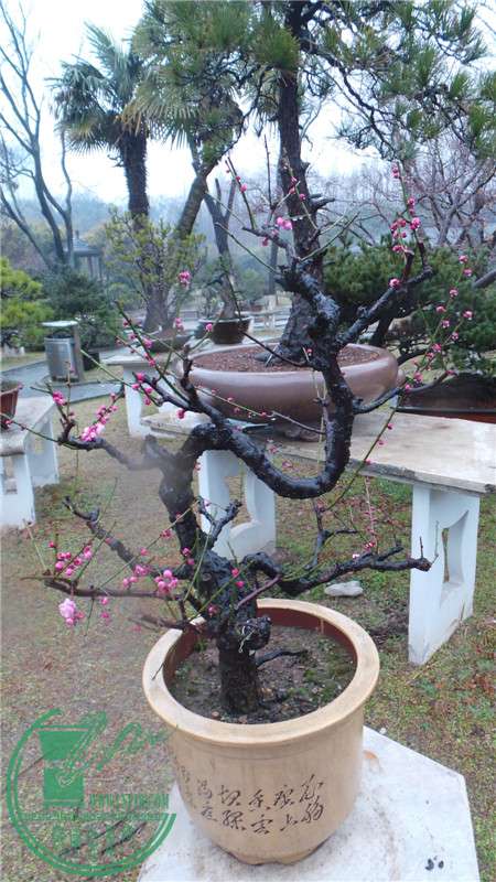 20150220_143938.jpg