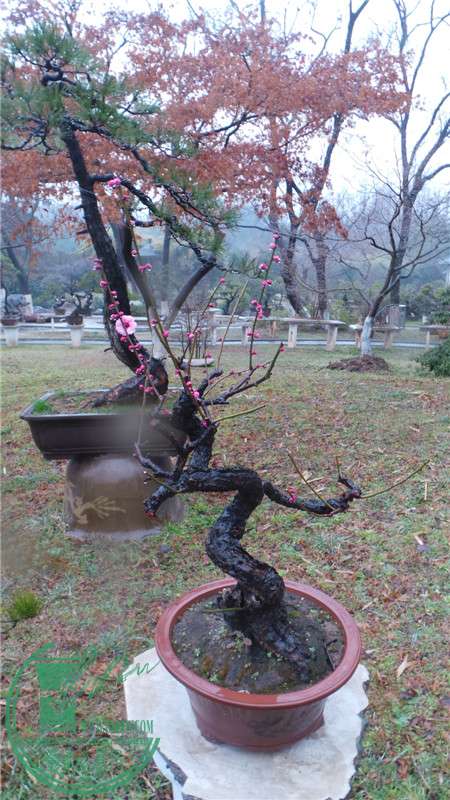 20150220_144246.jpg