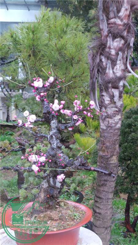20150220_144746.jpg