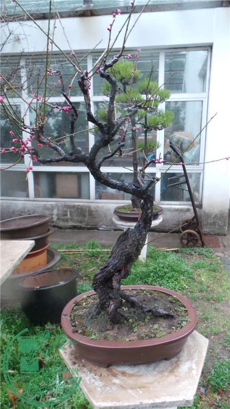 20150220_144858.jpg