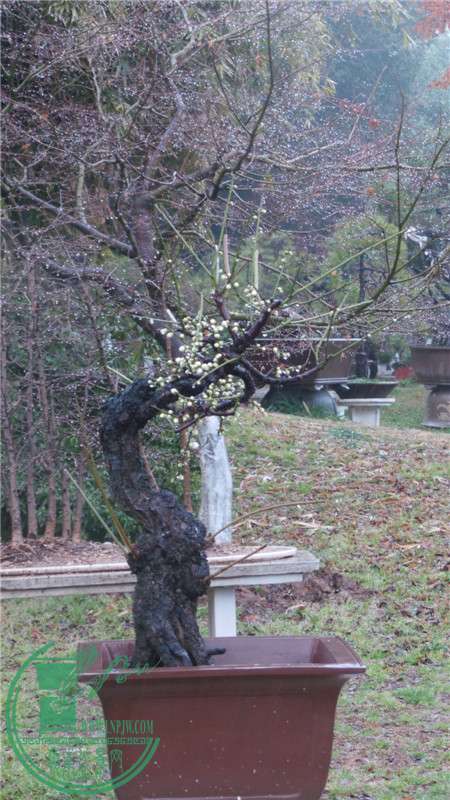 20150220_145433.jpg