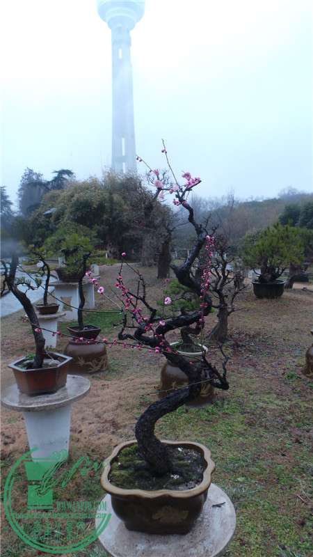 20150220_150045.jpg