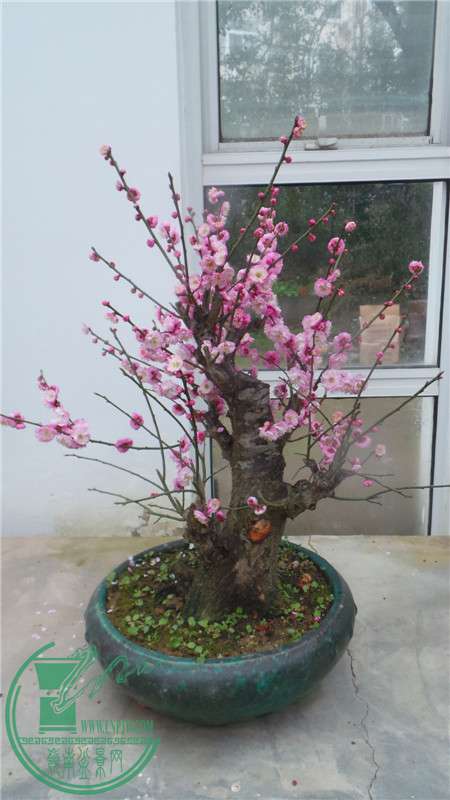 20150220_151634.jpg