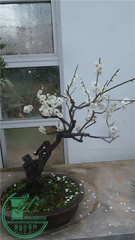 20150220_151657.jpg