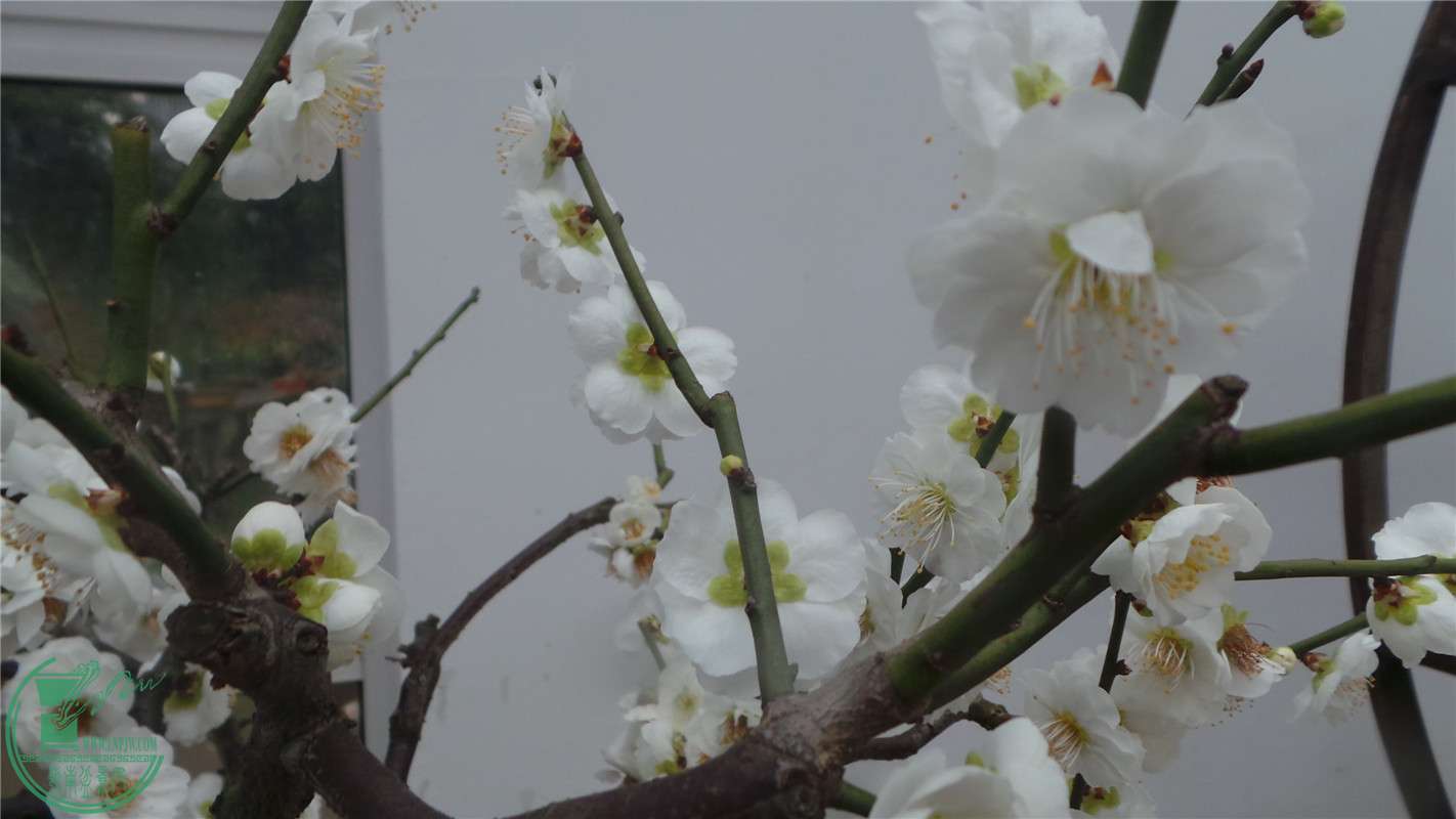 20150220_151706.jpg
