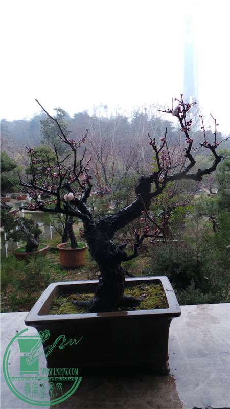 20150220_152359.jpg