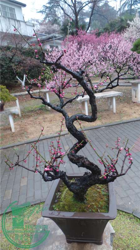 20150220_152757.jpg