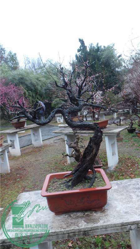 20150220_152923.jpg