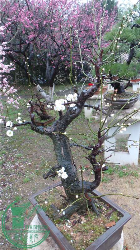 20150220_152957.jpg