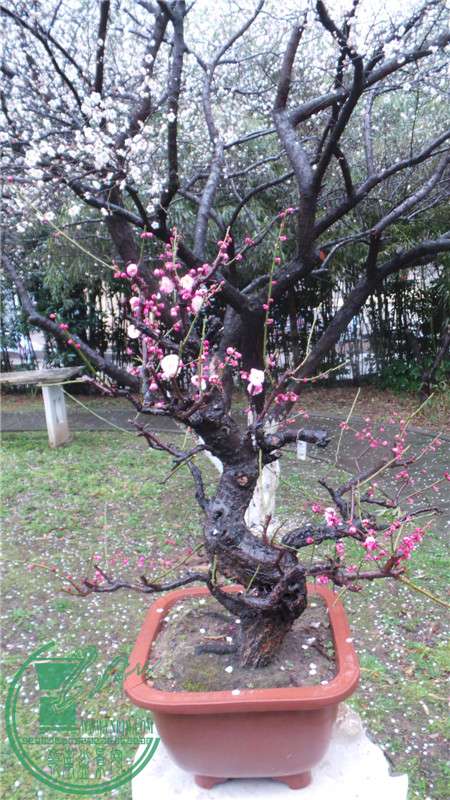 20150220_153125.jpg