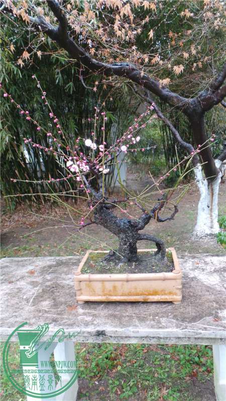 20150220_153453.jpg