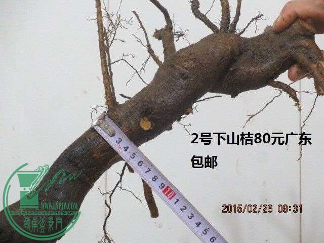 QQͼƬ20150226104258.jpg