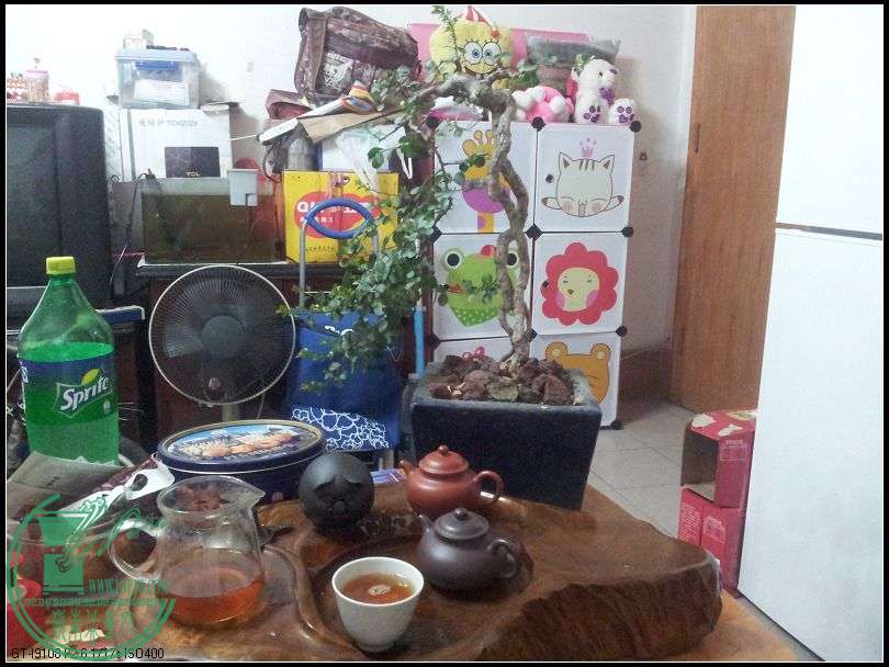 2015廨2.jpg