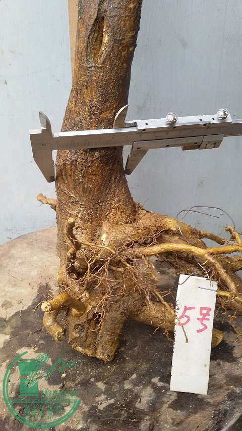 20150226_154730.jpg
