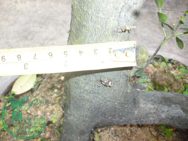 P1120954.JPG