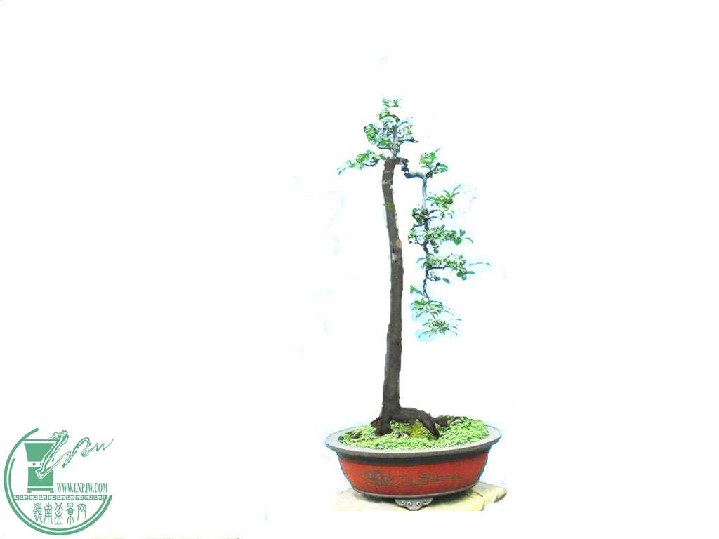 P1120950_.jpg