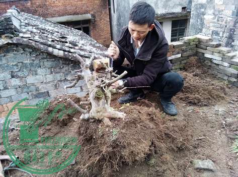 IMG20150224124208.jpg