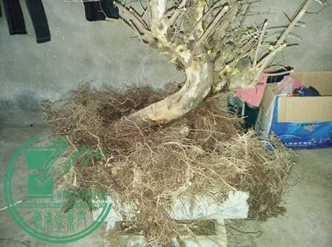 IMG20150225094343.jpg