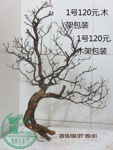QQͼƬ20150227211927.jpg