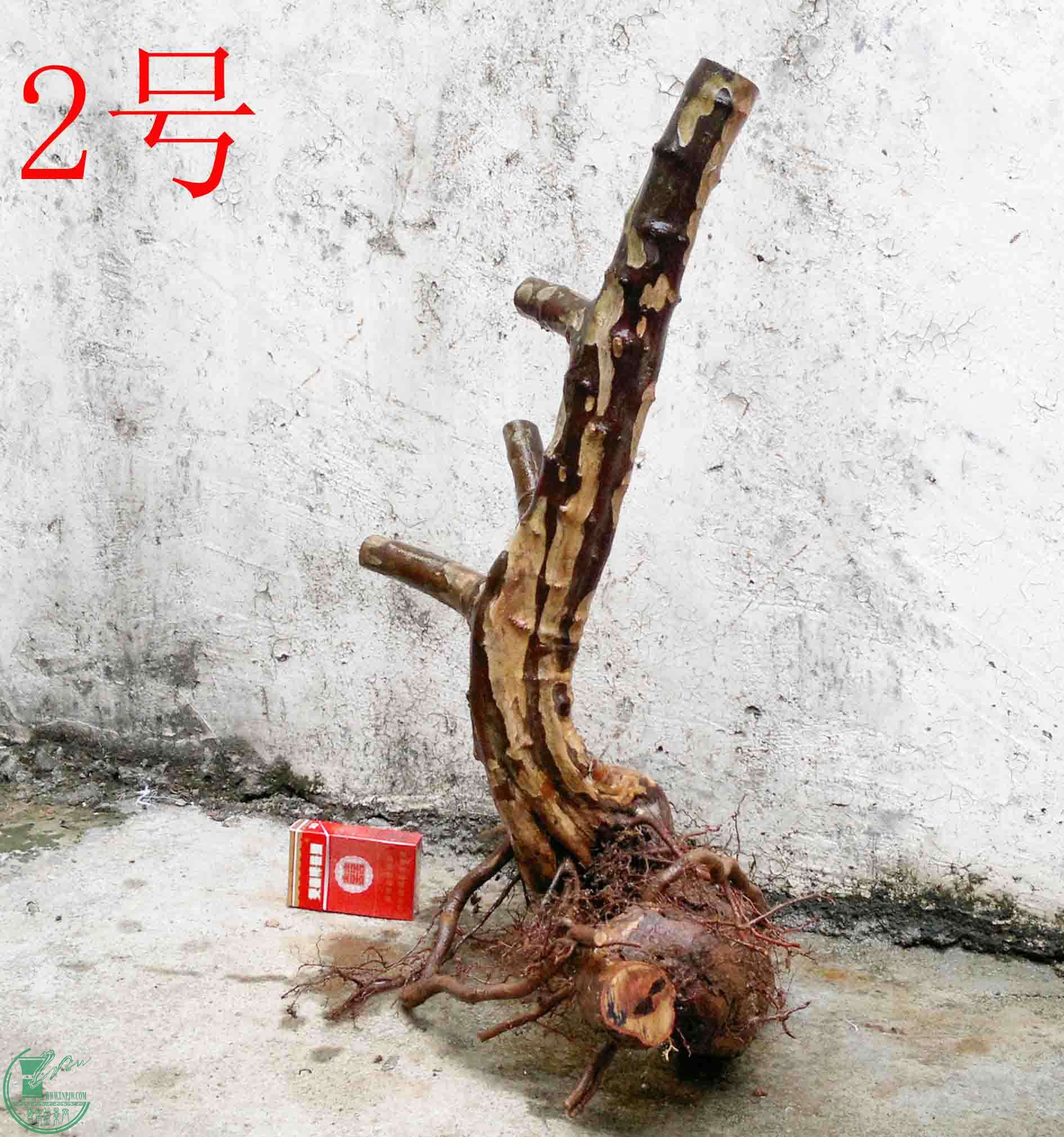201101312413.jpg