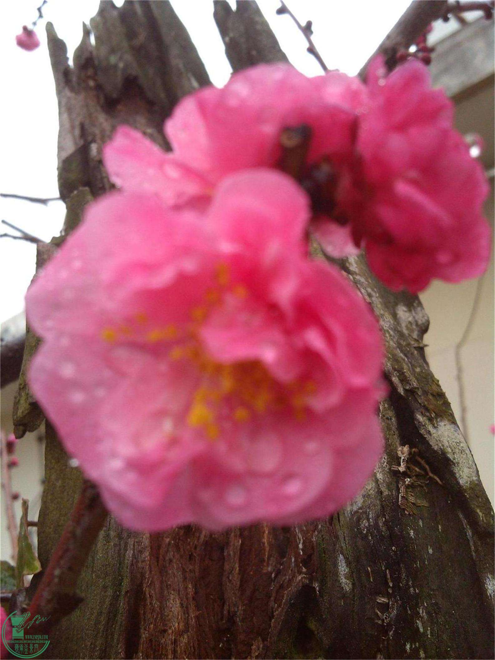 ÷11IMG_20150217_100748_ͼ.jpg