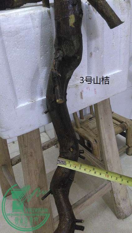 QQͼƬ20150228204513.jpg