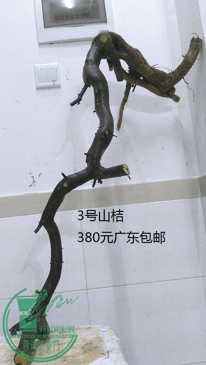 QQͼƬ20150228204525.jpg