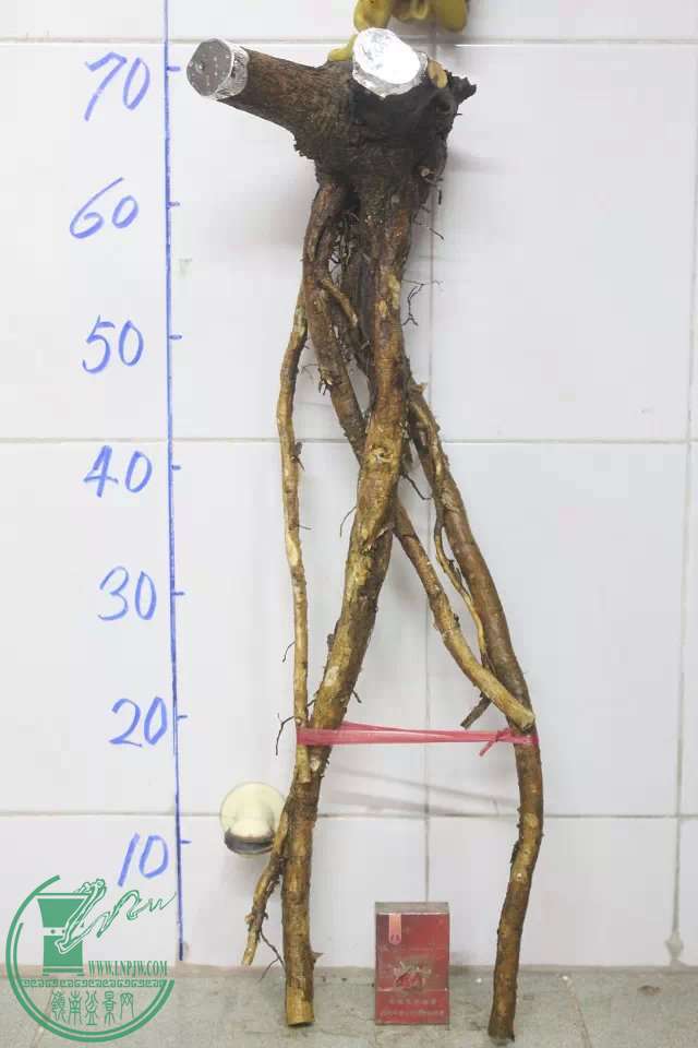 psb (9).jpg