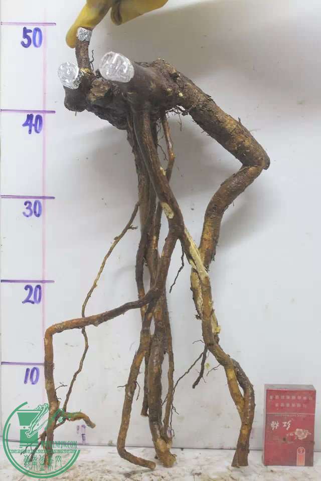 psb (13).jpg