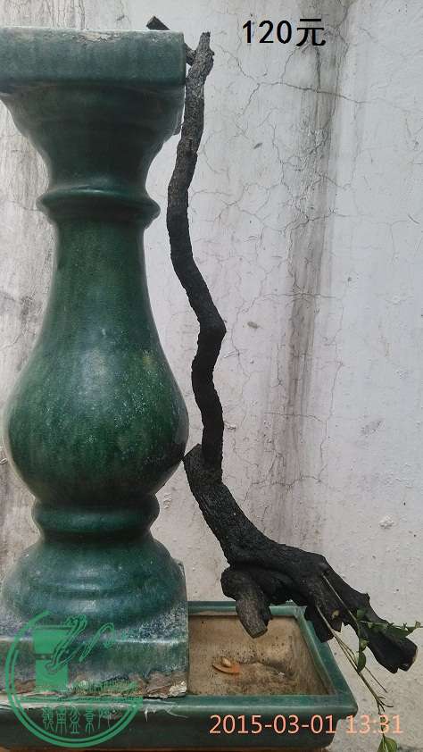 4ڹǲ120