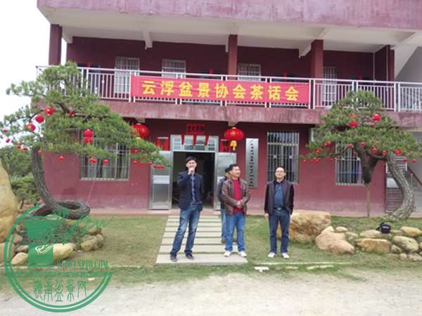 IMG_20150301_104738.jpg