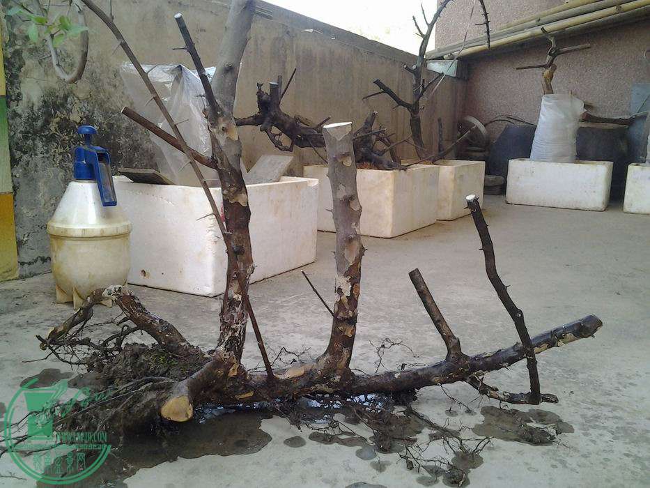 20131202_152745_ͼ.jpg